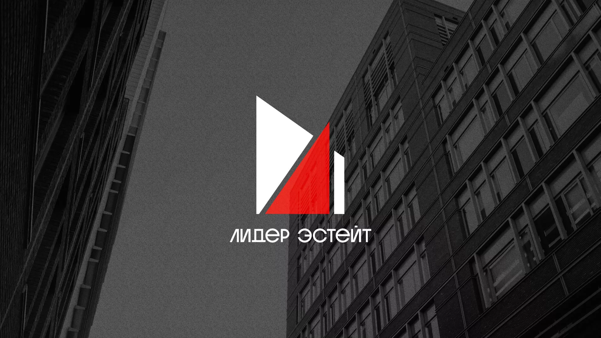 Сделали логотип для агентства недвижимости «Лидер Эстейт» в Белово
